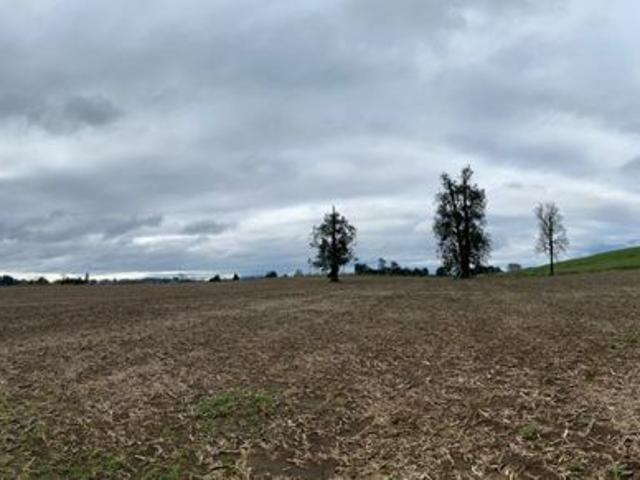 Oportunidad Rebajadas 7 Parcelas A Minutos Del Lago Ranco