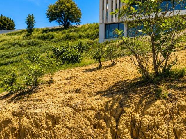 Oportunidad, se vende terreno en Bosque Real