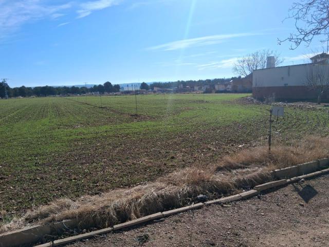 ¡ OPORTUNIDAD! SE VENDEN 4 HECTAREAS DE RIEGO