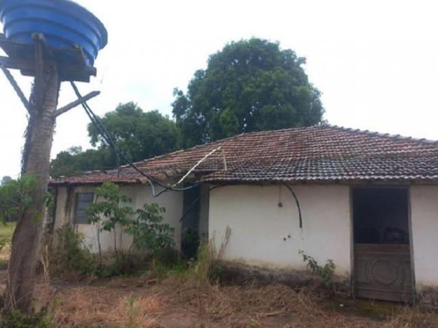 Oportunidade 50% Desconto Sítio Água Limpa 4,31 Hectares Cultivo Limão Monte Alto