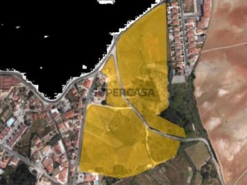 Oportunidade Conjunto de 3 lotes com 6,40 hectares no Casal do Sarge