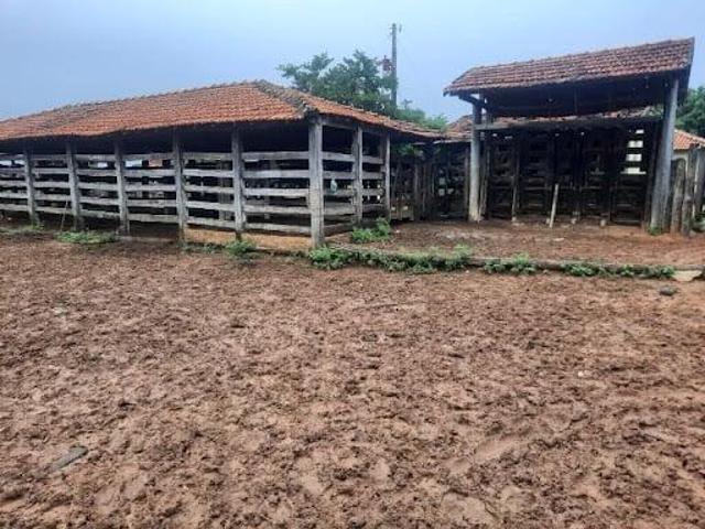 Oportunidade a venda, fazenda dupla aptidão