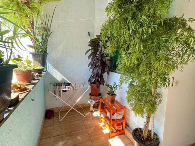Oportunidade de casa no Bairro Belmonte em Belo Horizonte MG.