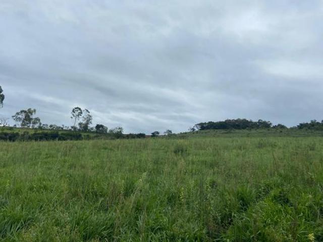 OPORTUNIDADE DE INVESTIMENTO NA BR 267 — 17,32 HECTARES E 326 M DE FRENTE