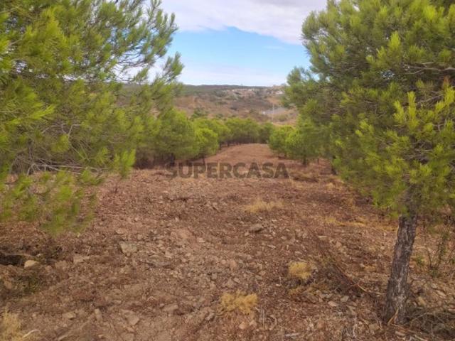 OPORTUNIDADE DE INVESTIMENTO NO SOTAVENTO ALGARVIO