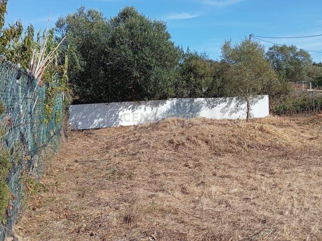 Oportunidade de Investimento em Rio de Mouro – Cabeça Gorda / Anafais