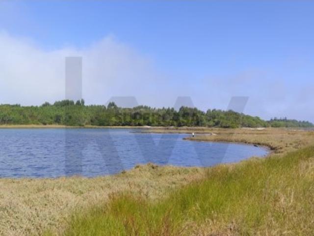 Oportunidade de Investimento em Terreno junto à Lagoa de Óbidos