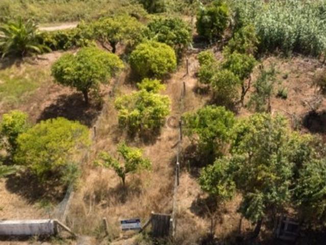 Oportunidade de Investimento Estratégico: Terreno no Brejo, Bombarral