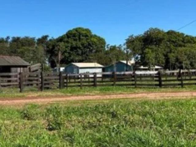 OPORTUNIDADE DE INVESTIMENTO: FAZENDA EXCLUSIVA EM GUARACI PR 84 alqueires prontos