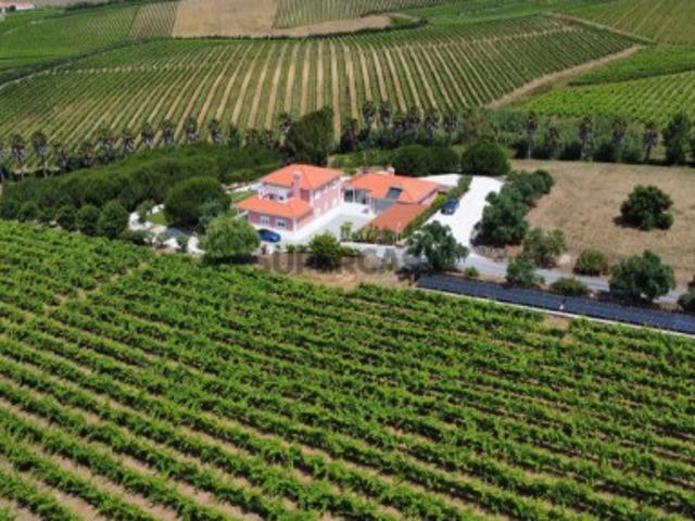 Oportunidade de Investimento: Quinta Vinícola de Luxo com Projeto de Turismo Aprovado, perto de Lisboa