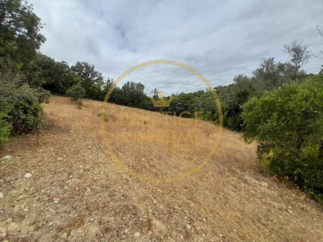 Oportunidade de Investimento: Terreno Agricola de 3.142 m² em Loulé,localizado na Estrada Nora dos Velhos. Investment Opportunity: 3,142 m² agricultural plot in Loulé, located on Estrada Nora dos Velhos
