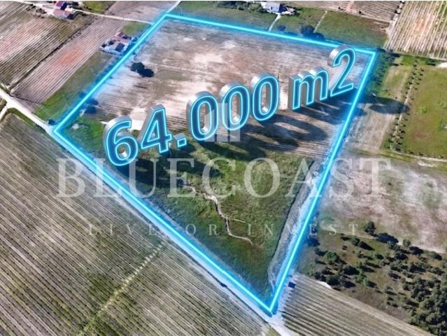 Oportunidade de Investimento Terreno no Poceirão com 6 hectares