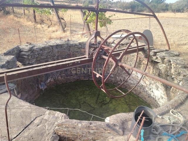 OPORTUNIDADE DE INVESTIMENTO | TERRENO RÚSTICO, AMARELOS