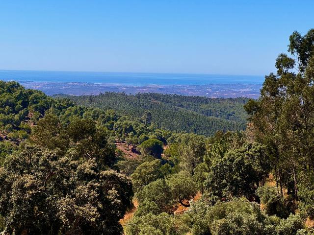 OPORTUNIDADE DE INVESTIMENTO — Terreno Urbano com Tiny House Nova e Potencial Construtivo até 2.000