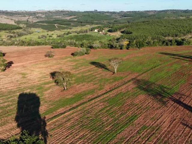 OPORTUNIDADE DE NEGÓCIO* ? *EXCELENTE FAZENDA À VENDA EM ANGATUBA SP* ? Formação: Agricultura