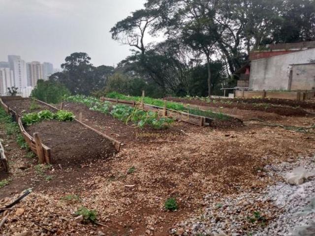 Oportunidade de negócio para futura renda Morumbi