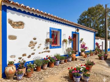 Oportunidade de Reabilitação – Casa com Terreno em Mesquita, Alentejo