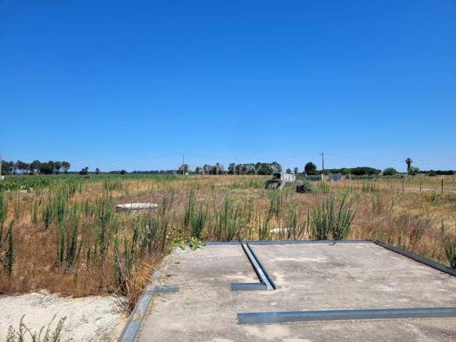 Oportunidade em Almeirim – Terreno 4.920 m²