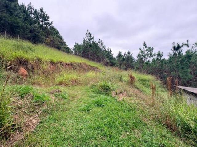 Oportunidade em Juquitiba: Refúgio Particular com Amplo Lago