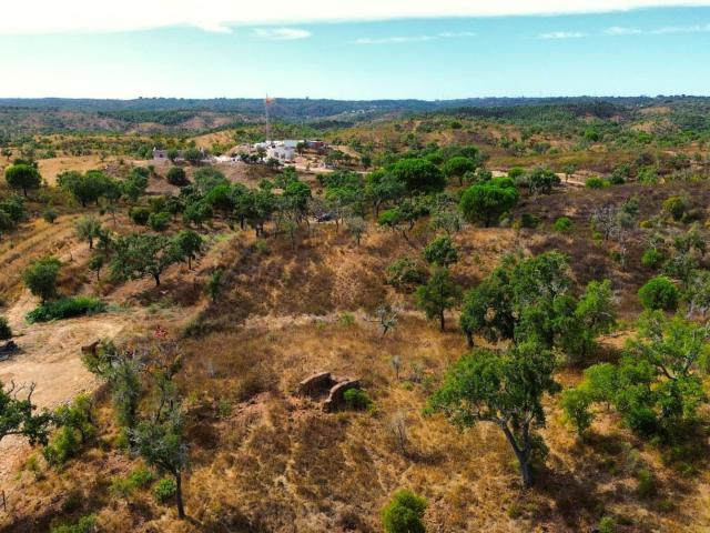 Oportunidade em Santiago do Cacém para um Projeto de Refúgio Minimalista