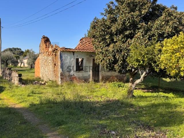 Oportunidade em Parceiros de São João: Moradia em Ruína, com lote de 4040 m2