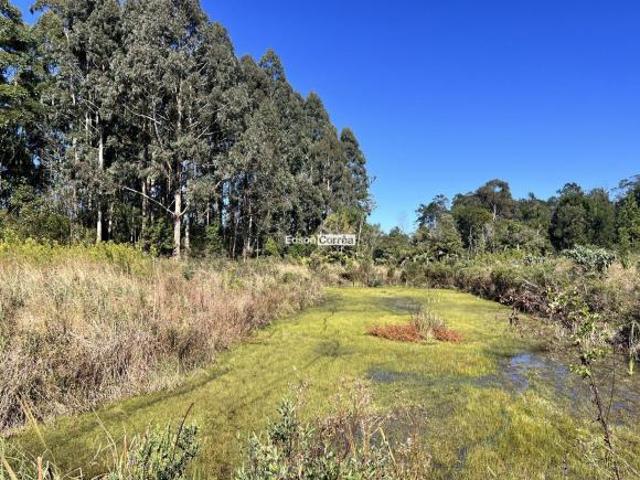 Oportunidade em Região Turística | 4 Hectares por R$ 550 Mil