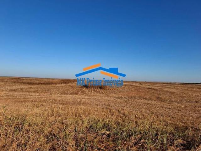 Oportunidade Estratégica, Fazenda em Nova Canaã do Norte MT