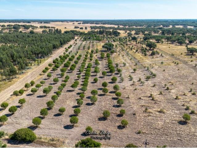 Oportunidade Estratégica: Hub Logístico e Residencial Privilegiado em Grândola, Alentejo Litoral