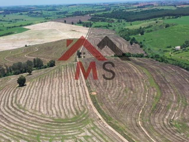 Oportunidade excelente fazenda com ótima localização, dupla aptidão, frente para o asfalto
