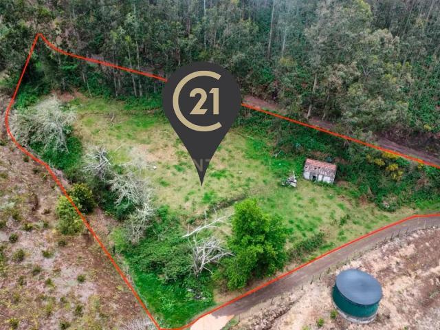 Oportunidade Exclusiva na Madeira – Terreno com 3.796 m² nos Canhas, Ponta do Sol
