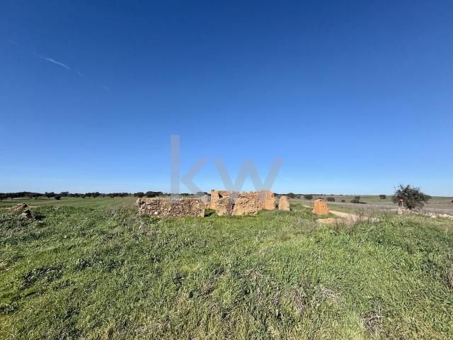 Oportunidade Exclusiva no Coração do Alentejo: Terreno com Potencial Agrícola em Castro Verde