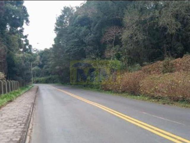Oportunidade Exclusiva para Investidores e Moradia – Campo Largo/PR