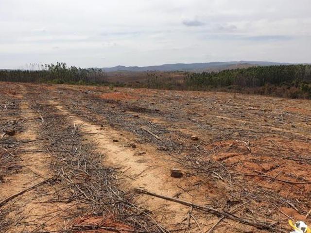 OPORTUNIDADE: FAZENDA BEIRA RIO EM PATROCÍNIO 60 HEC