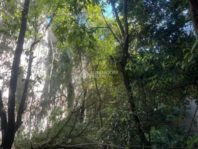 Oportunidade Imperdível de ter o terreno de seus sonhos!