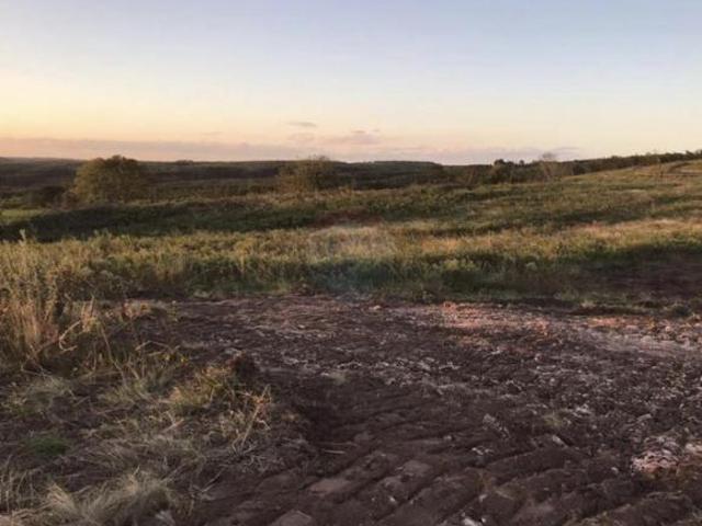 Oportunidade Imperdível: Fazenda Produtiva em Encruzilhada do Sul!
