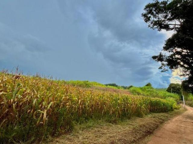 Oportunidade imperdível no campo! Apresentamos uma excelente gleba de terra com ½ alqueire