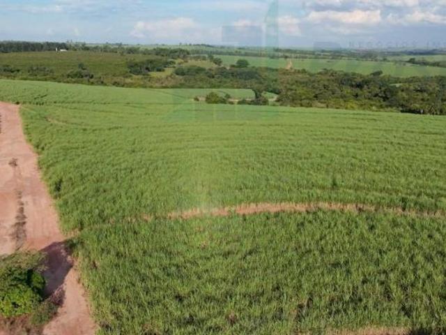Oportunidade imperdível: Sitio à venda em Monte Azul Paulista SP, bairro Rural, com 33,00 m² de área