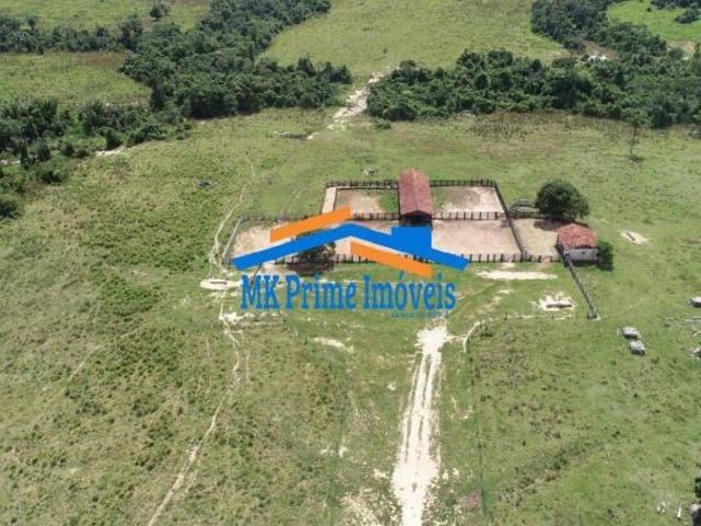 Oportunidade no Agronegócio: Fazenda de Dupla Aptidão em Monte Verde/MT