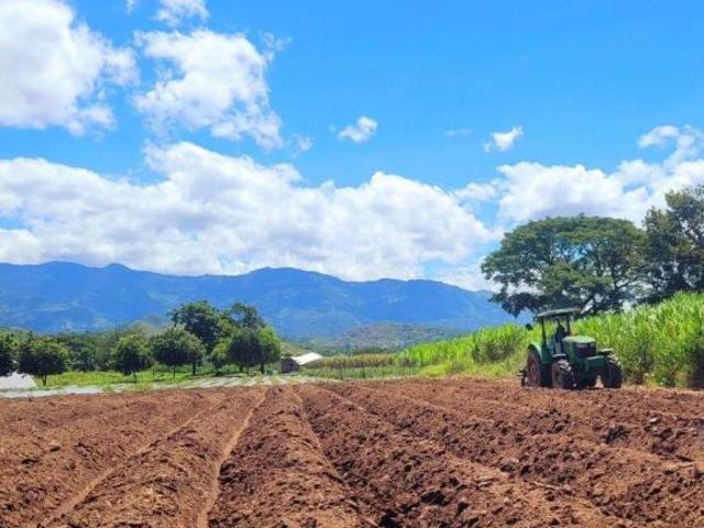 Oportunidade no Interior: Lotes de 1.000m² em Mairinque