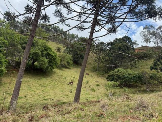 oportunidade sitio 22 mil mts em joanopolis sp valor 230 mil