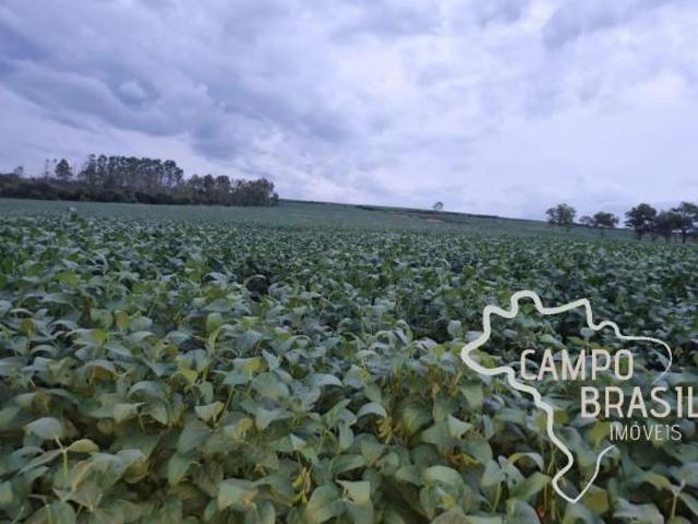 OPORTUNIDADE SUL DE MINAS GERAIS FAZENDA COM 212 HECTARES !