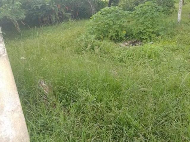 Oportunidade para Investidor para Venda em São Sebastião, Jaraguá