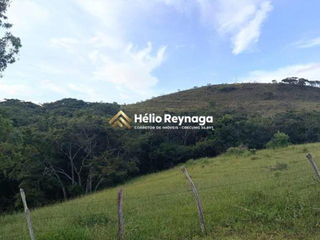 Oportunidade Rara: Fazenda de 45 Hectares com Alto Potencial de Lucro Próxima ao Trevo de Coroas
