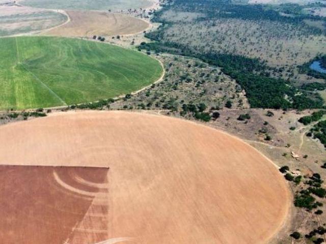 OPORTUNIDADE RARA: FAZENDA 1.480 HECTARES COM POTENCIAL DE IRRIGAÇÃO EXTRAORDINÁ