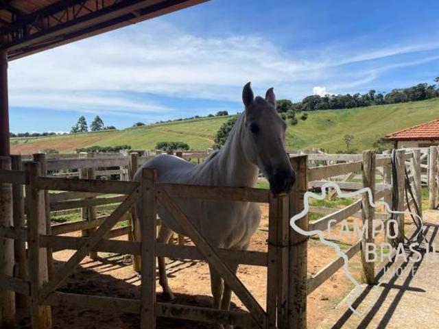 OPORTUNIDADE RARA NAS MONTANHAS DAS MINAS GERAIS ! HARAS TODO FORMADO !