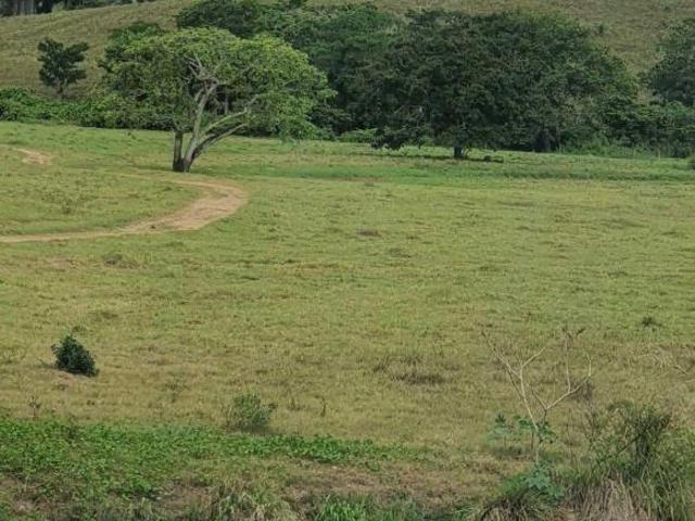 Oportunidade Real: Terrenos de 1.000m² em Mairinque