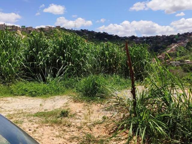 OPORTUNIDADE REAL LOTE 180m² EM BH