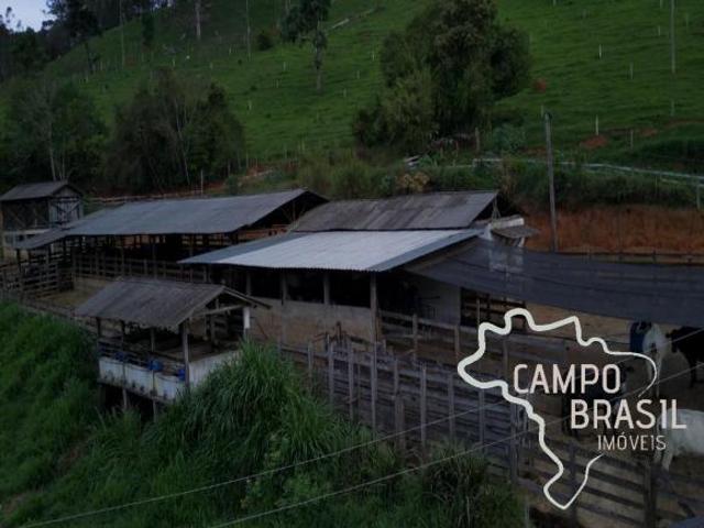 Oportunidade rural! Fazenda para pecuária e agricultura!