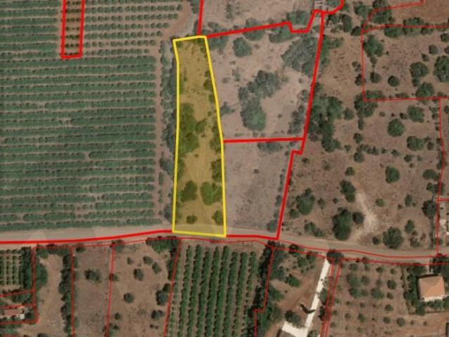 Oportunidade: Terreno com Alfarrobeiras e Bons Acessos em Aivados e Fontes, Alcantarilha