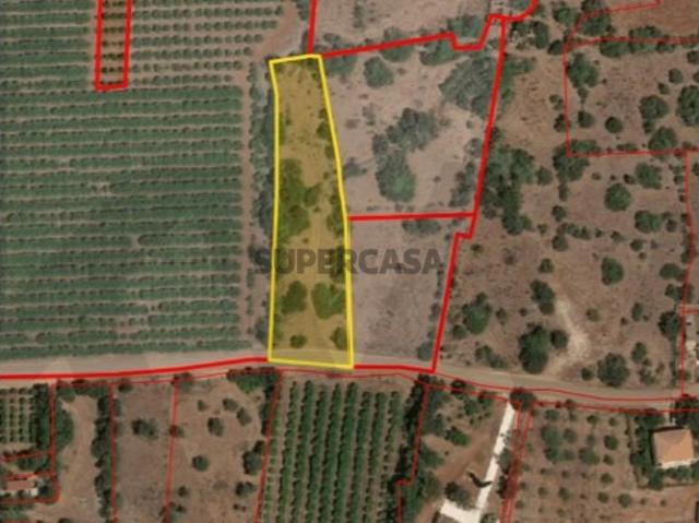 Oportunidade: Terreno com Alfarrobeiras e Bons Acessos em Aivados e Fontes, Alcantarilha
